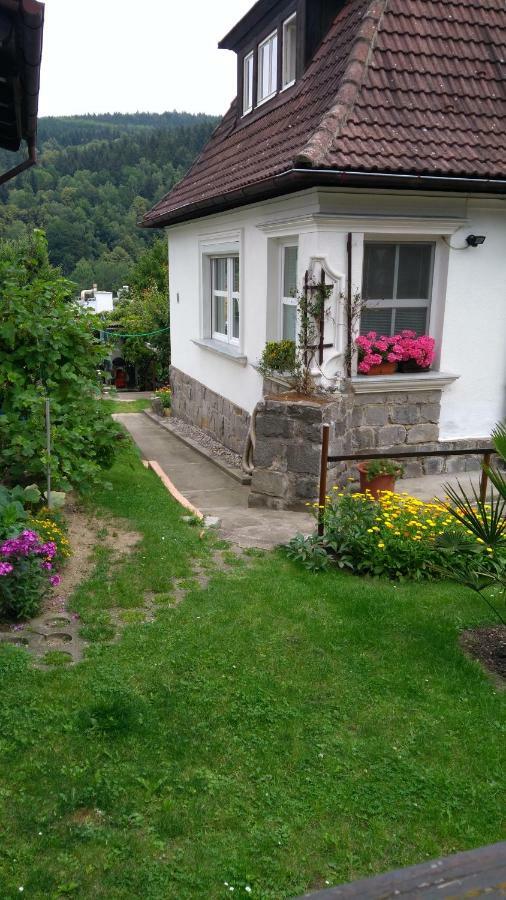 Byt - Apartman Apartamento Větřní Exterior foto